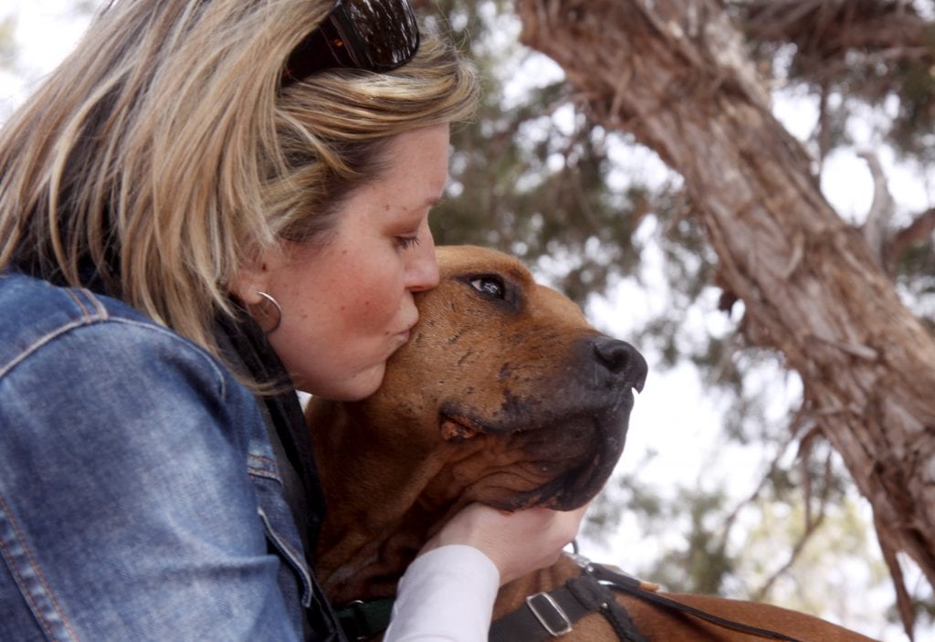 Me and Lucas, former Michael Vick (ugh!) fighting dog turned Vicktory